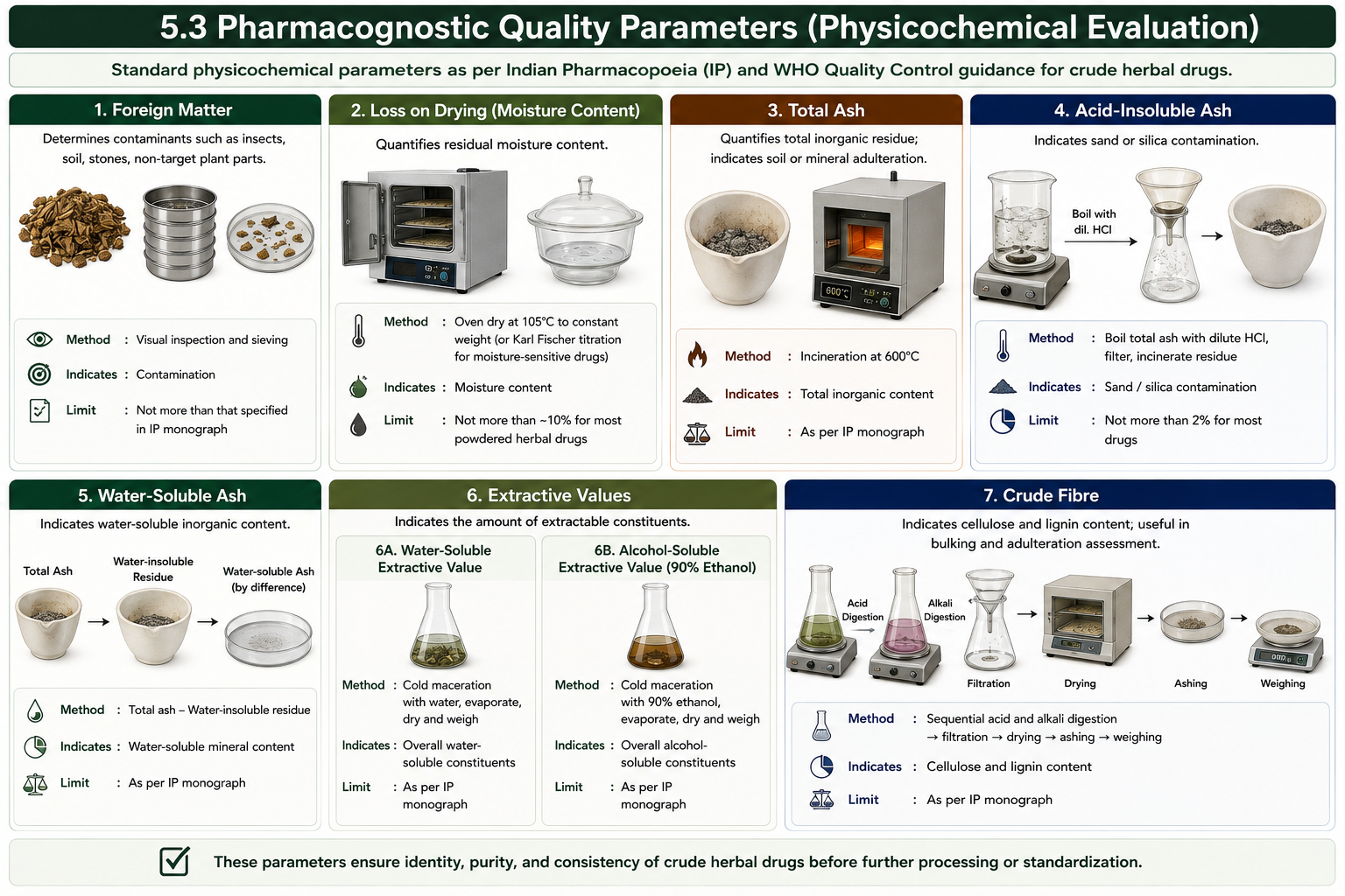 Ultrasound-assisted extraction (UAE): principle, workflow, key parameters, advantages, suitability, and comparison with maceration